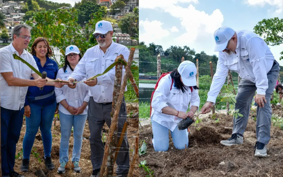 Clean Rivers DR lidera jornada de reforestación en el Bosque Miyawaki del río Ozama